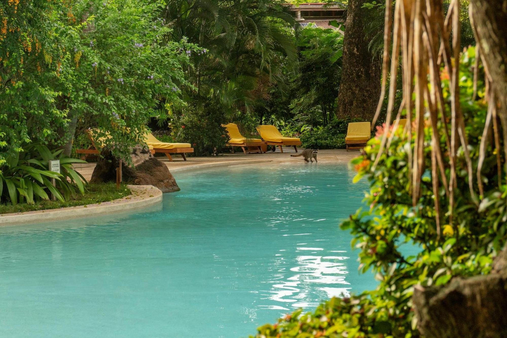 Capitan Suizo Beachfront Boutique Hotel Tamarindo Exterior photo